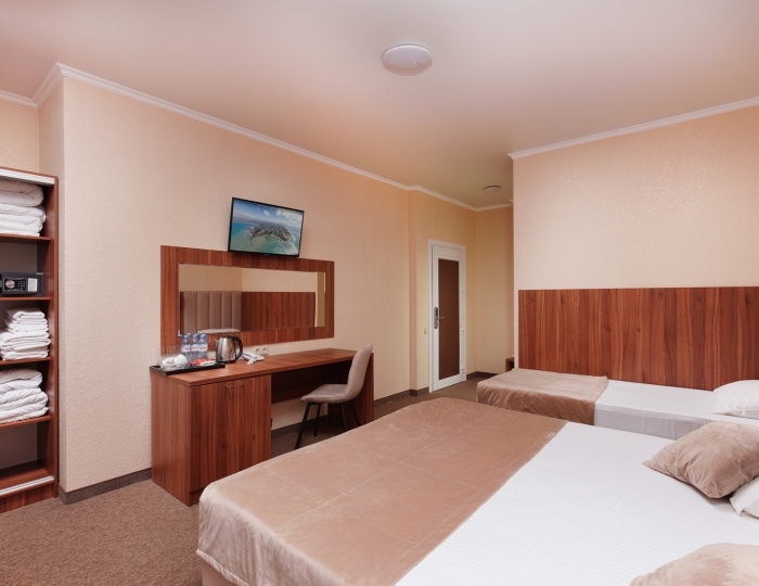 Делюкс 2-м с 2-мя доп.местами Бетон - Курортный отель «Славянка»